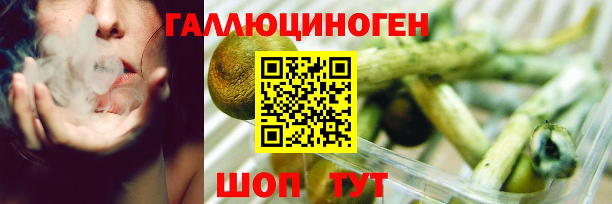 Псилоцибиновые грибы Cubensis  Вход с VPN  Псилоцибиновые грибы мухоморы  Алейск 